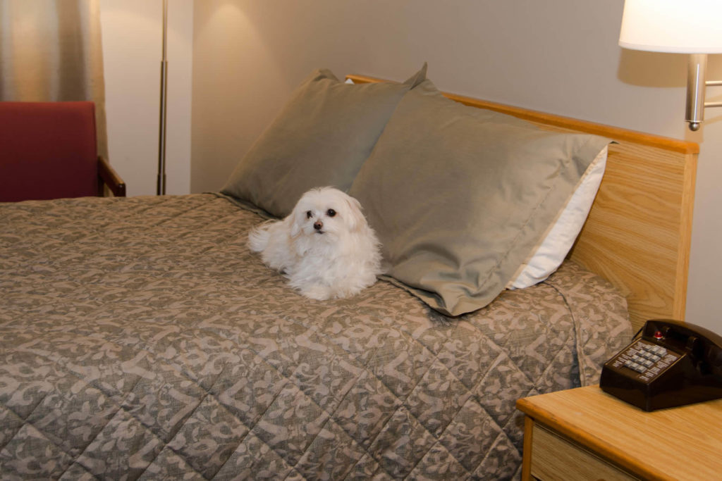 Sunset Motor Inn Photo Tour