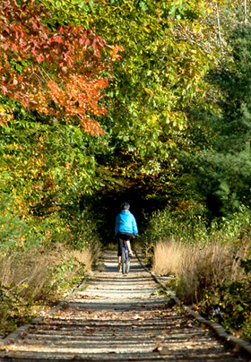 Fall leaves in shades of orange, red and brown surrounding a woman on a bike, cycling down a dirt path.