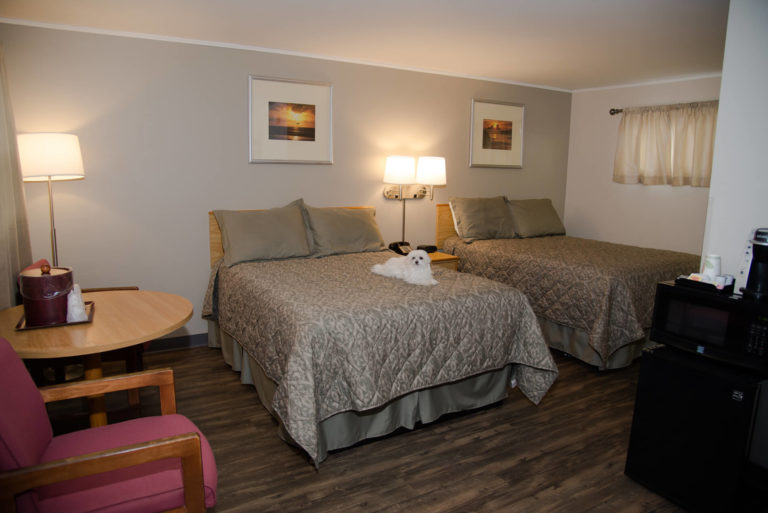 Pet Friendly Hotel in Vermont Near Elmore
